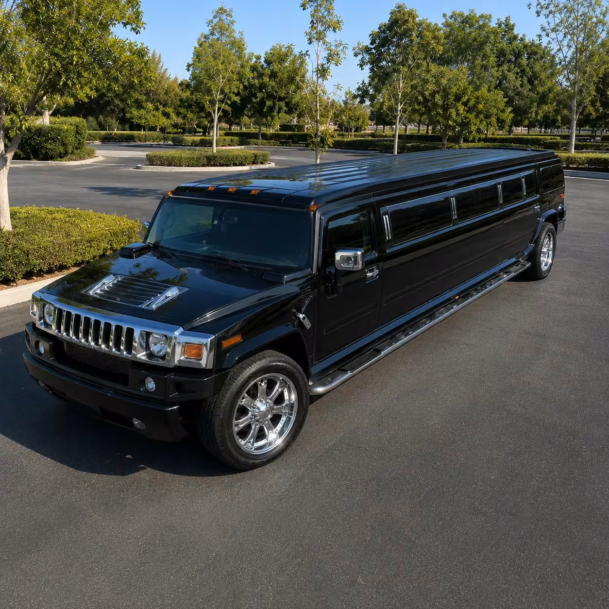 why choose limohoover.com